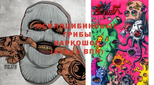 МДПВ Покров